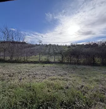 Foto annuncio 23