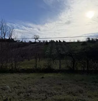 Foto annuncio 24