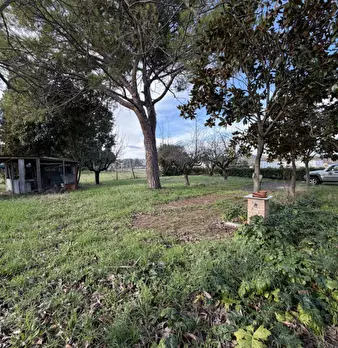 Foto annuncio 26