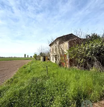 Foto annuncio 5