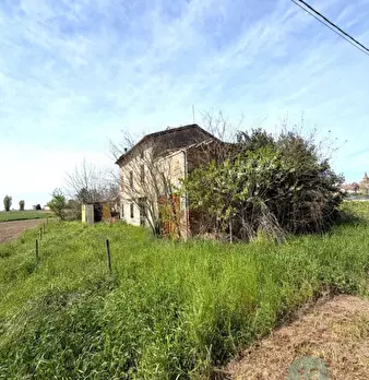 Foto annuncio 6