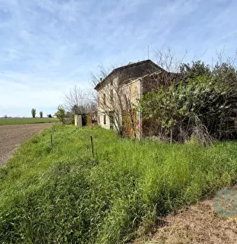 Foto annuncio 7