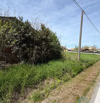 Foto annuncio 18