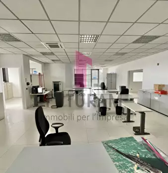 Foto annuncio 5