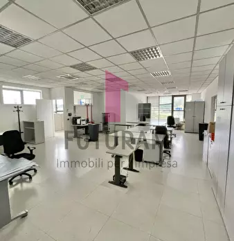 Foto annuncio 6