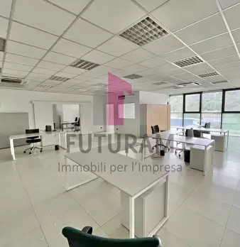 Foto annuncio 18