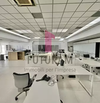 Foto annuncio 11