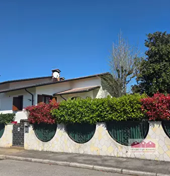 Foto annuncio 31