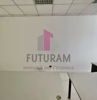 Foto annuncio 11