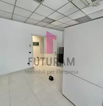 Foto annuncio 7