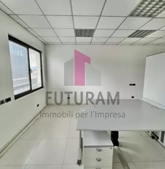 Foto annuncio 13