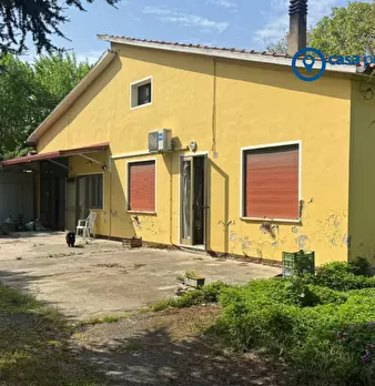 Foto annuncio 1