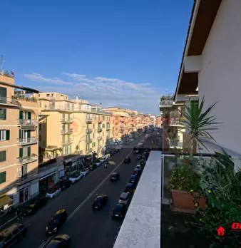 Foto annuncio 30