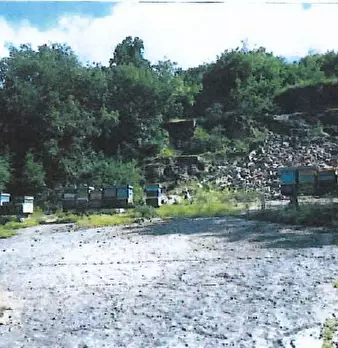 Foto annuncio 2