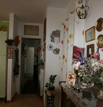 Foto annuncio 7