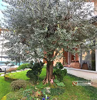 Foto annuncio 6