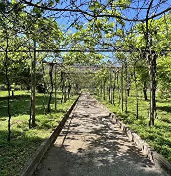 Foto annuncio 33