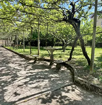 Foto annuncio 35