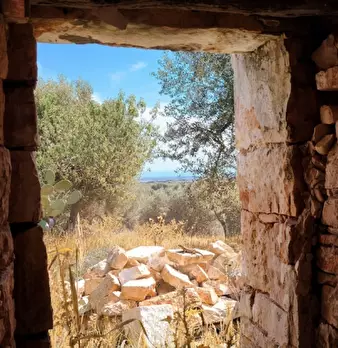 Foto annuncio 1