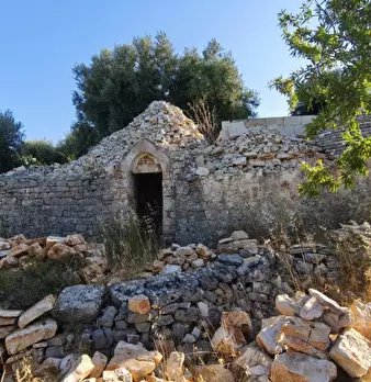 Foto annuncio 5