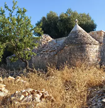 Foto annuncio 6