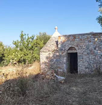 Foto annuncio 7