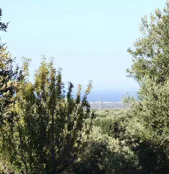 Foto annuncio 14