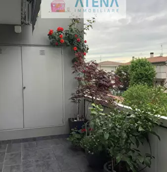Foto annuncio 21