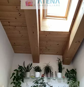 Foto annuncio 48
