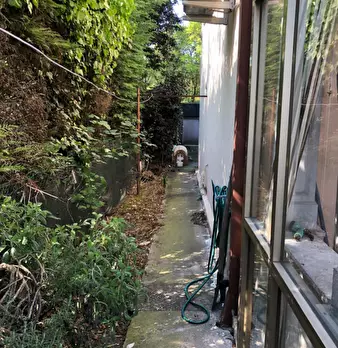 Foto annuncio 2