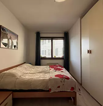 Foto annuncio 7
