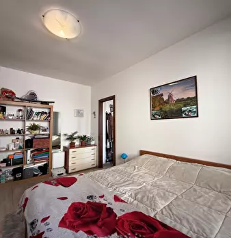 Foto annuncio 8