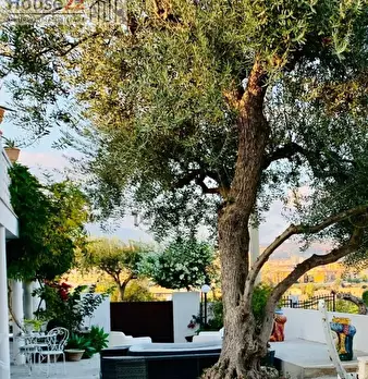Foto annuncio 32