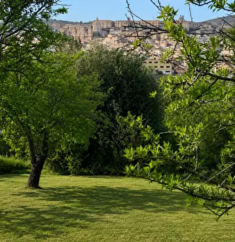 Foto annuncio 35