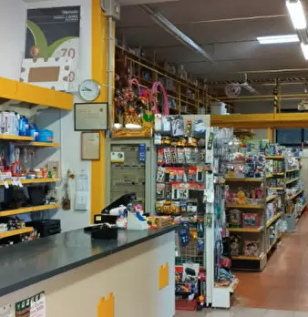 Foto annuncio 1