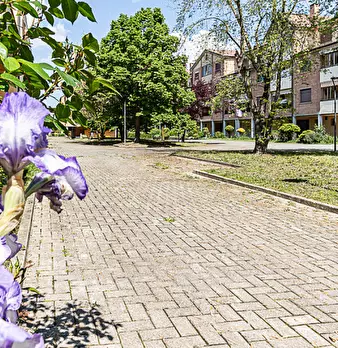 Foto annuncio 25