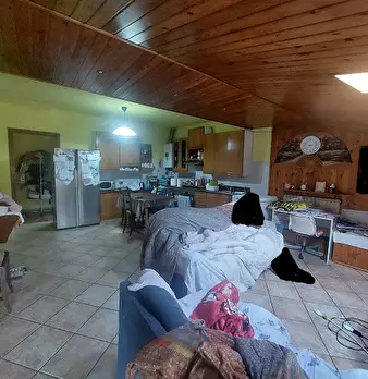Foto annuncio 5