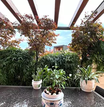 Foto annuncio 5