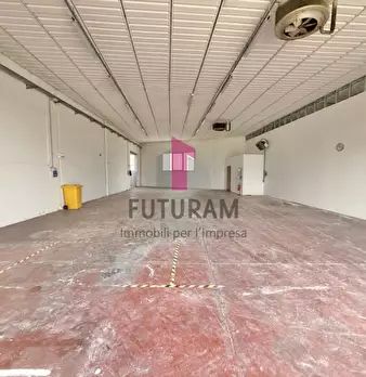 Foto annuncio 5
