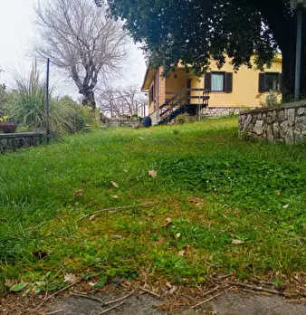 Foto annuncio 3