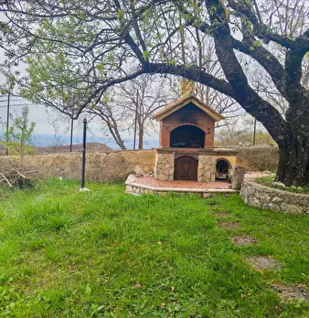 Foto annuncio 7