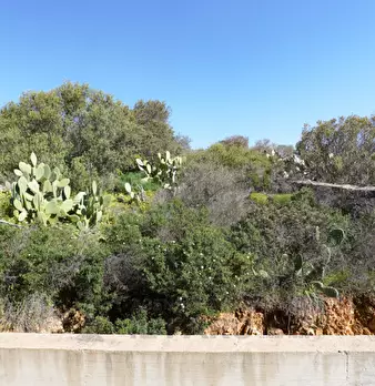 Foto annuncio 18
