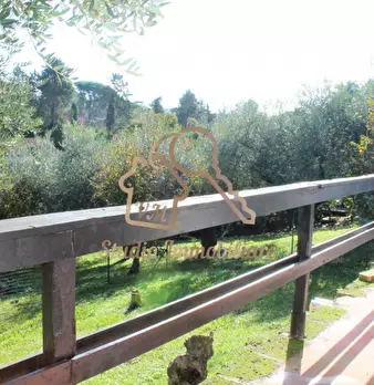 Foto annuncio 6