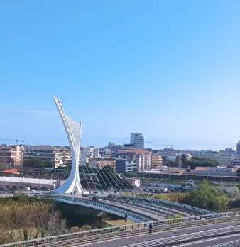 Foto annuncio 42