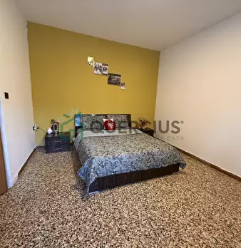 Foto annuncio 12