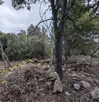 Foto annuncio 7