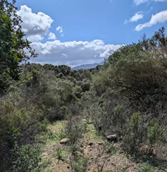 Foto annuncio 28