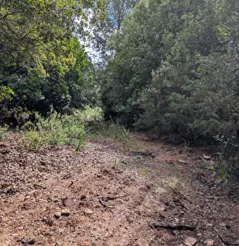 Foto annuncio 29