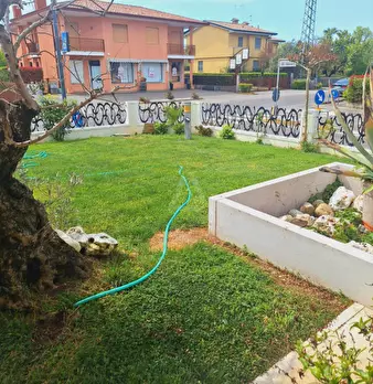 Foto annuncio 16