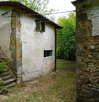 Foto annuncio 24